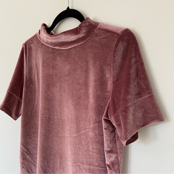 Anthropologie Pink Velvet Mock Neck Top size Small - Picture 2 of 10